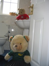 Playing Hide and Seek!