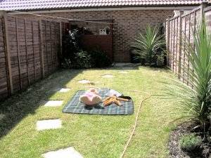 Sunning in the garden
