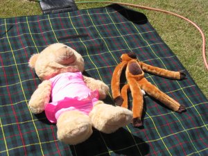 Sunbathing
