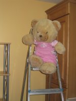 Naughty Sophie on a ladder