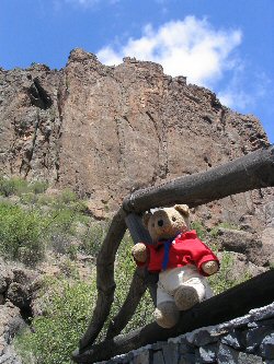 Little Bear on Gran Canaria