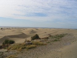 Maspalomas dunes