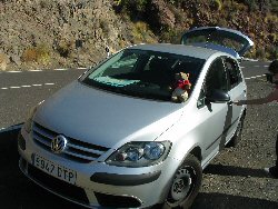 Car hired from Hertz
