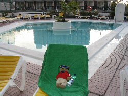 Little Bear lying by the second pool at hotel lucana playa del ingles