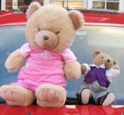 The bear's diary pages chronicling all their adventures around the world, in the UK and at school in Chelmsford.