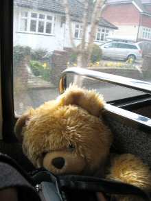 Sarah Bear on the Brighton Park and Ride
