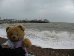 Sarah Bear watching the big waves in Brighton Beach