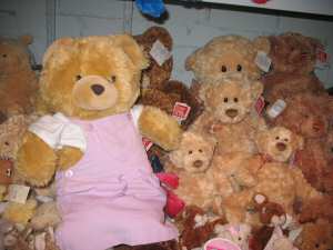 Sue Pearsons Dolls and Teddy Bears Shop in Brighton & Sarah Bear