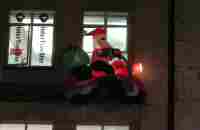 Christmas tree in car with Sophie Bear