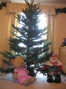 Sophie and a friend prepare for Christmas with a tree