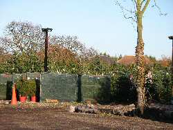 Christmas Tree Farm at Hawkwell