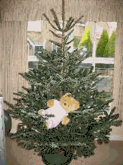 Sara tries to climb the Christmas tree