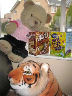 Sophie Bear watching her Easter Eggs