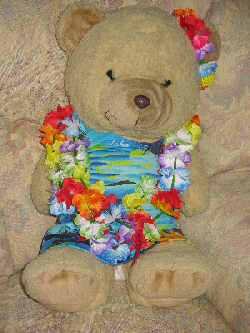Sophie Bear wears her Hawaiian dress and flower leis ready for the family party