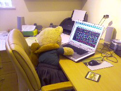 Sophie Bear and Steve working on the website