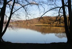Picture of Esthwaite from the fishing centre car park - view towards Hawkshead