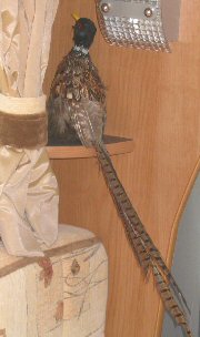 A grouse that lives in Grandma's motorhome