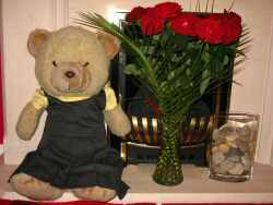 Sophie Bear wears her new school uniform