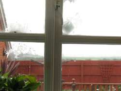 Snow balls on the kitchen window at Easter 2008