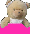 Sophie Bear