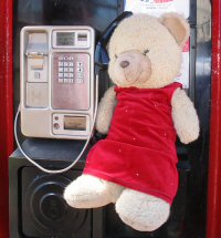 Sophie in a phonebox